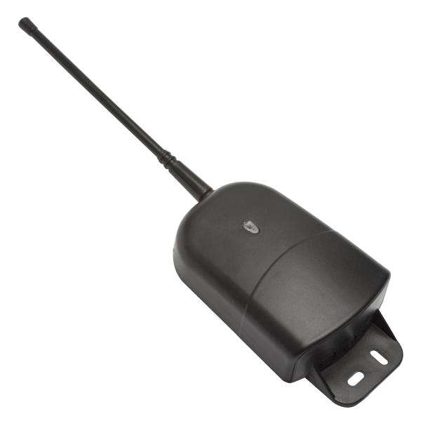 Set de radio comanda (receptor si o telecomanda), 200m, superheterodin (-40℃), cu doua canale - gss.ro Set de radio comanda (receptor si o telecomanda), 200m, superheterodin (-40℃), cu doua canale - gss.ro