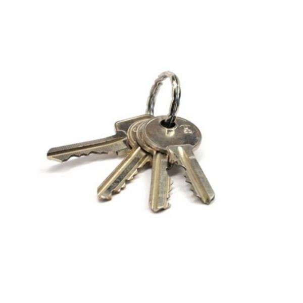 CHEI BRUTE PENTRU 1913D SI 1913S CHEI BRUTE PENTRU 1913D SI 1913S