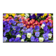 Monitor ultra-slim LED, 4K UHD, 43'', 2xHDMI, 2xDP, Audio 2x10W - UNV MW3243-F-V2 Monitor ultra-slim LED, 4K UHD, 43'', 2xHDMI, 2xDP, Audio 2x10W - UNV MW3243-F-V2